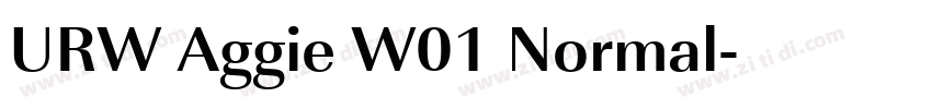 URW Aggie W01 Normal字体转换